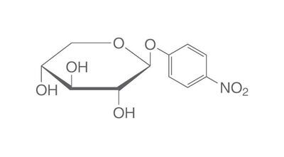 4-Nitrophenyl-beta-D-xyloside, min. 99%, for biochemistry, 1 g, glass packaging