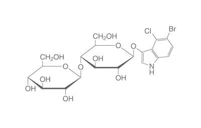 5-bromo-4-chloro-3-indoxyl-bêta-D-, cellobioside, min 99 %, pour la biochimie, 50 mg
