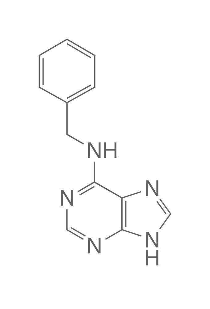 6-Benzylaminopurine, min 98 %, pour la biochimie, 25 g, emballage en verre