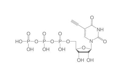 5-Ethynyl-UTP, ≥95%, 10 µl, kunststoffverpackung.