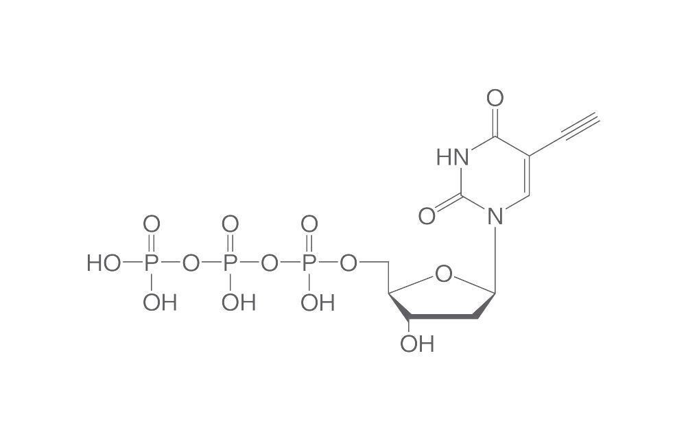 5-Ethynyl-dUTP, min. 95%, 100 mM in water, 50 µl, plastic packaging.