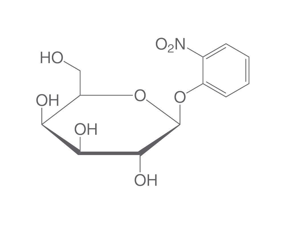 2-nitrofenil-beta-D-galattopiranoside, minimo 99%, per biochimica, 10 g, confezione in vetro