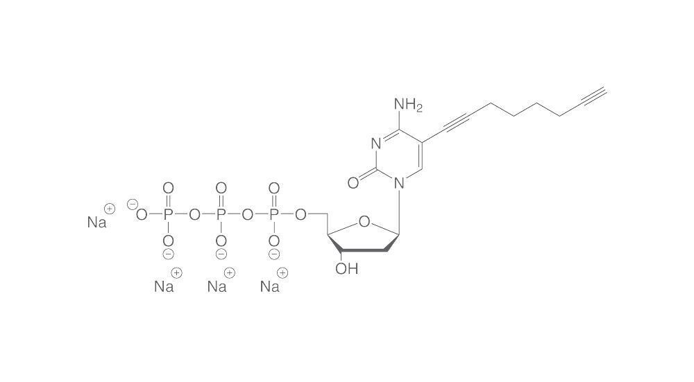 C8 alkyne dCTP, min. 95%, 100 mM in water, 10 µl, plastic package.