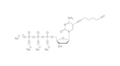 C8 alchino dCTP, minimo 99%, 100 nM in acqua, 50 µl, confezione in plastica.