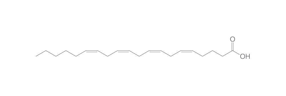 Arachidonic acid, &gt;99%, 1 g, glass packaging