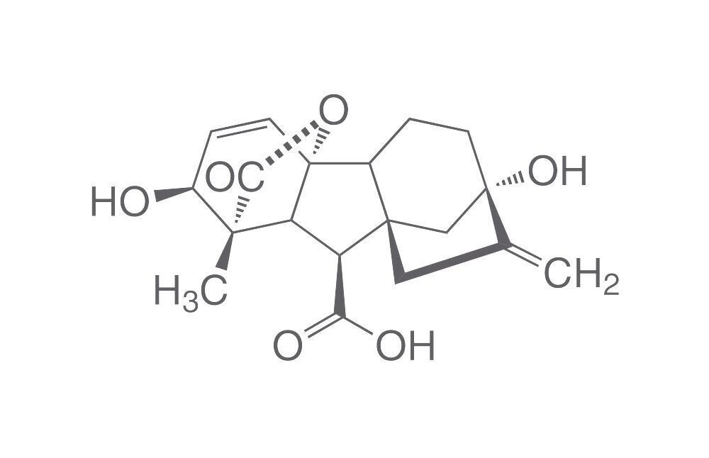 Gibberellic acid, ROTICHROM® CHR, 1 g, glass packaging