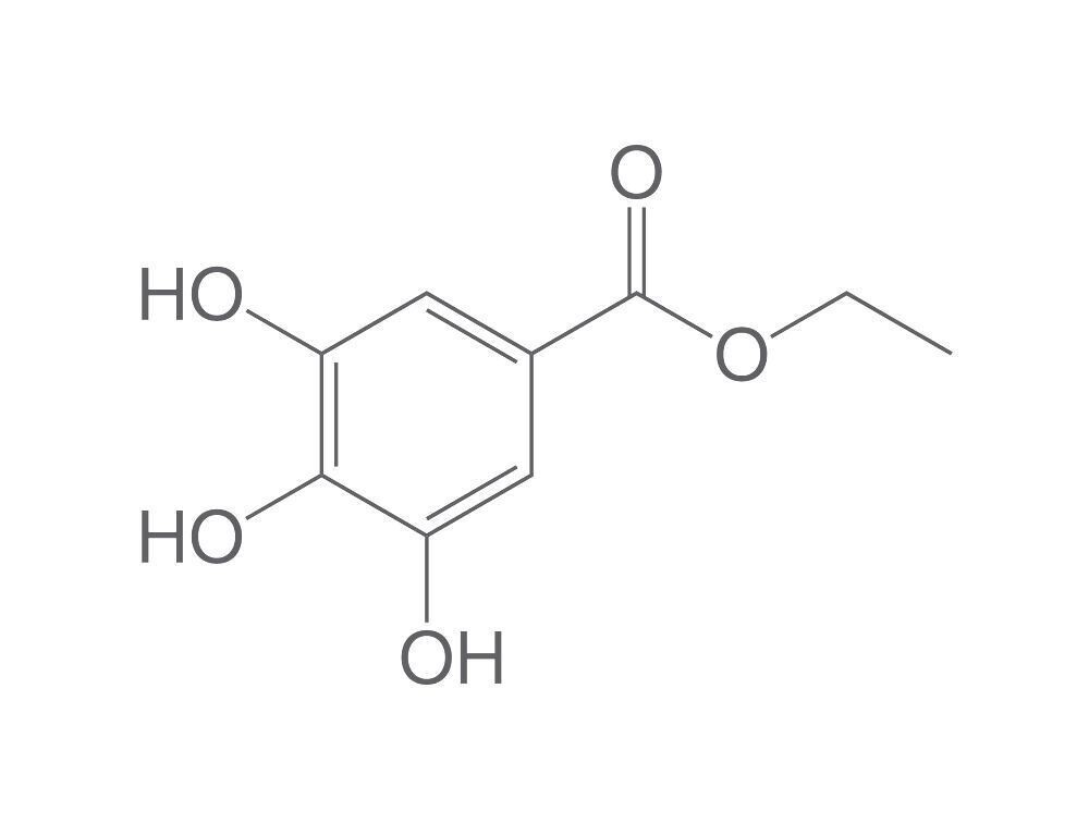 Gallic acid ethyl ester, min. 98%, 25 g, plastic packaging.