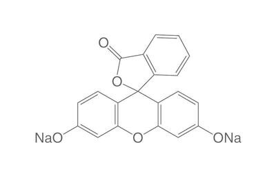 Fluorescein sodium, CI 45350, extra conc., 25 g, glass packaging