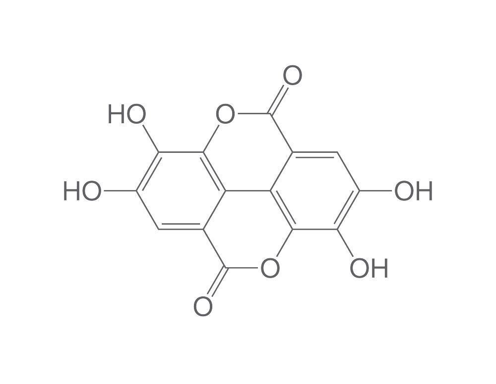 Ellagic acid, min. 90%, for biochemistry, 5 g, glass packaging