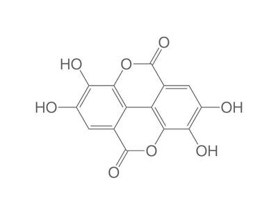 Ellagic acid, min. 90%, for biochemistry, 5 g, glass packaging