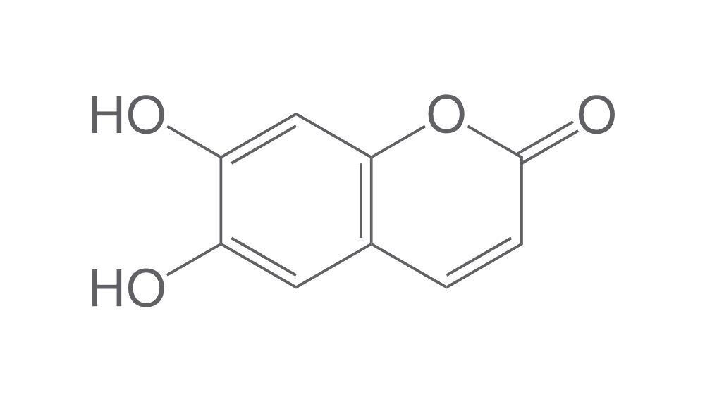 Esculetin Min 98% Biochemistry 1g Glass Pack