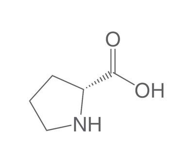 D-Proline, min. 98.5%, for biochemistry, 25 g, plastic packaging.