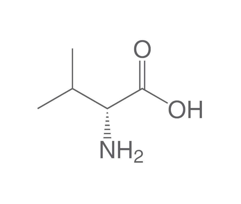 D-valine, min 98.5%, for biochemistry, 25 g, plastic packaging.