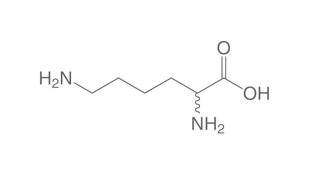 DL-lysine hydrochloride min 98% for biochemistry 1g glass packaging
