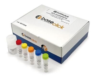 ClickTech Kit 555, para imágenes, 1 kit, caja