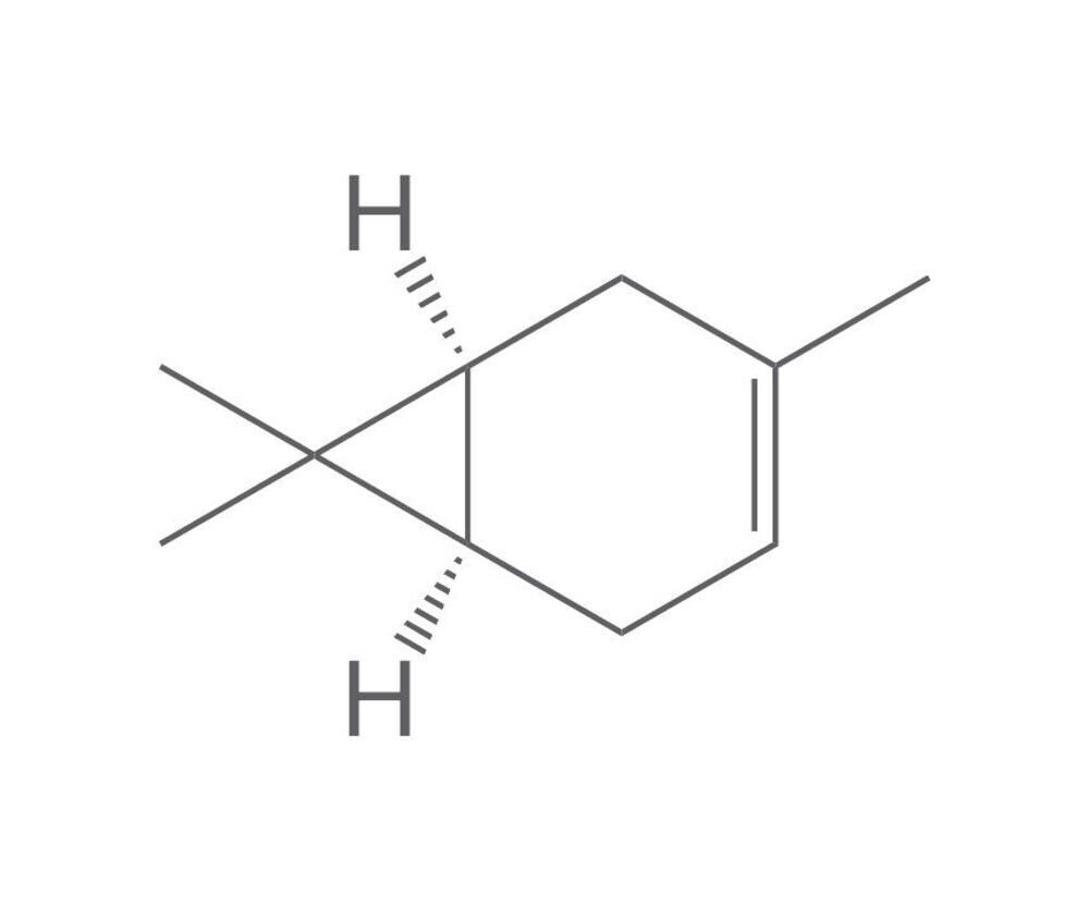 delta-3-carene, ROTICHROM® GC, 1 g, plastic packaging.