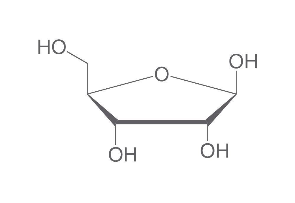 D(-)-Ribose, min. 98%, for biochemistry, 10 g, plastic packaging.