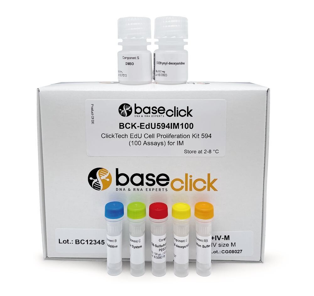 ClickTech EdU Kit 555, S, per imaging, in vivo, 1 kit, cartone