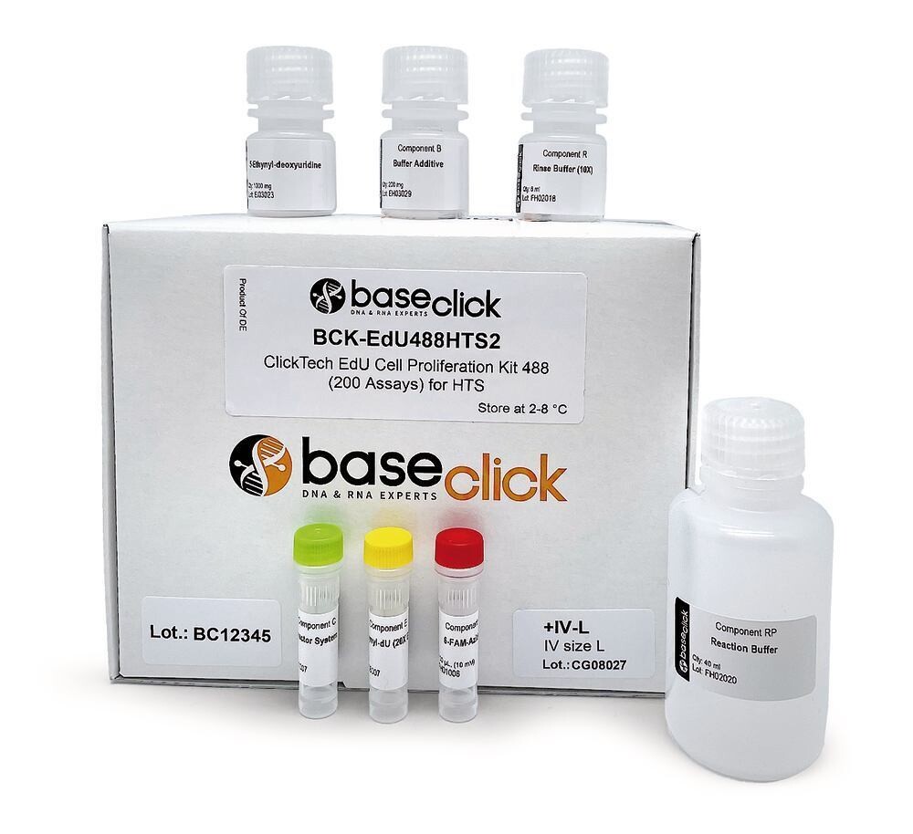 ClickTech EdU Kit 555, M, for High Throughput Screening, in vivo, 1 kit, box