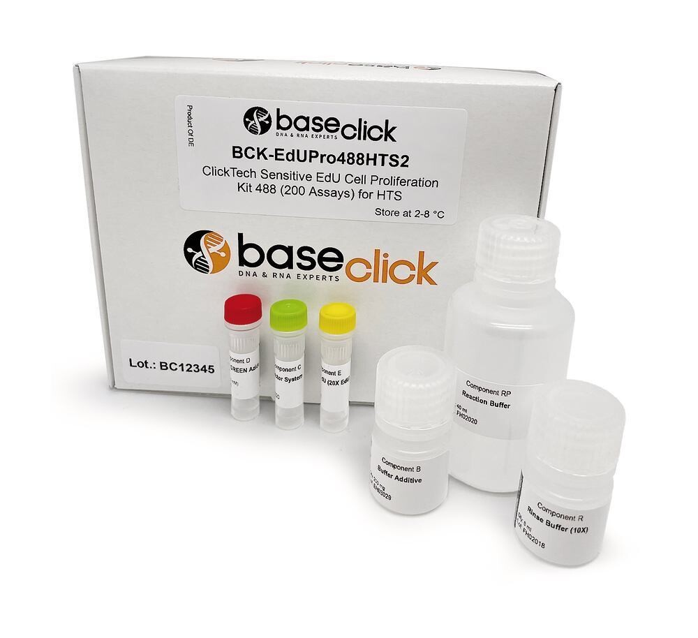 ClickTech EdU Kit 488 Sensitive 2, for high throughput screening, sensitive