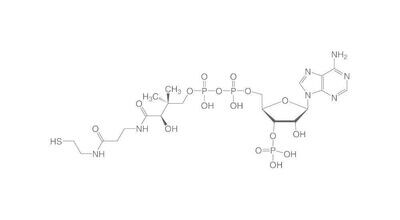 Coenzyme A hydrate, min. 85%, for biochemistry, 25 mg, glass packaging