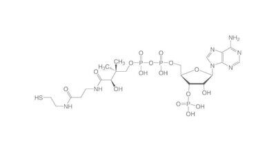 Coenzyme A hydratée, min.85%, pour la biochimie, 100 mg, emballage en verre