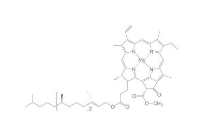 Clorofila A, polvo, 1 mg, envase de vidrio