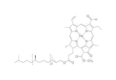 Chlorophylle B, ROTICHROM® CHR, 5 mg, conditionnement verre
