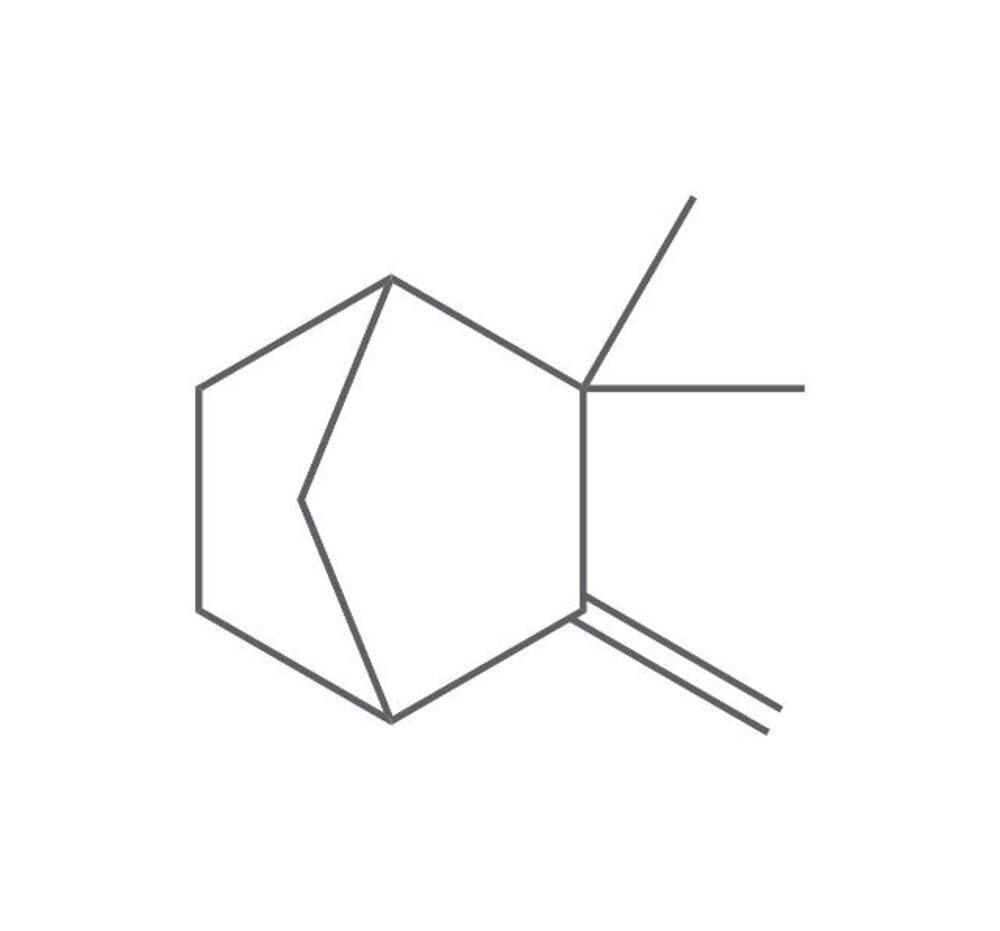 Camphene, min. 95%, 100 g, glass packaging