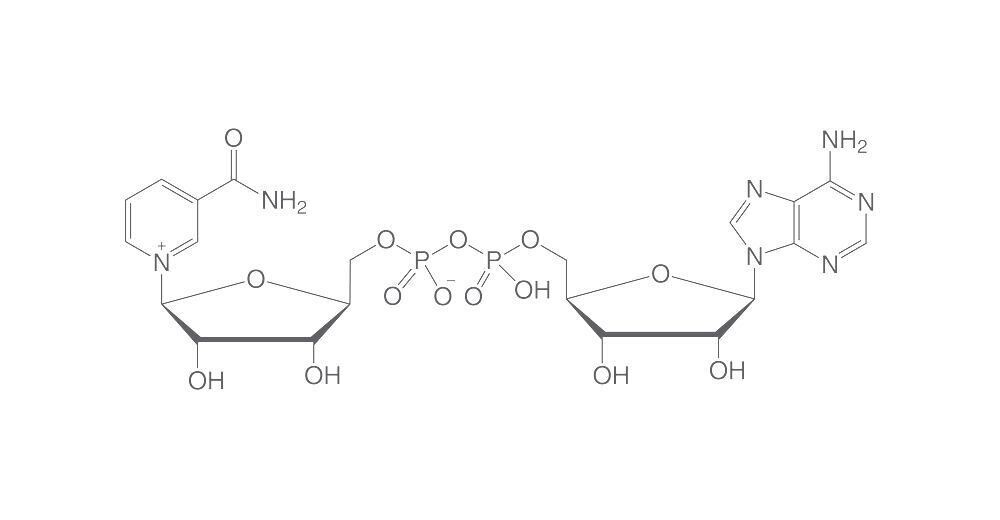NAD, min. 95%, for biochemistry, 5 g, glass packaging