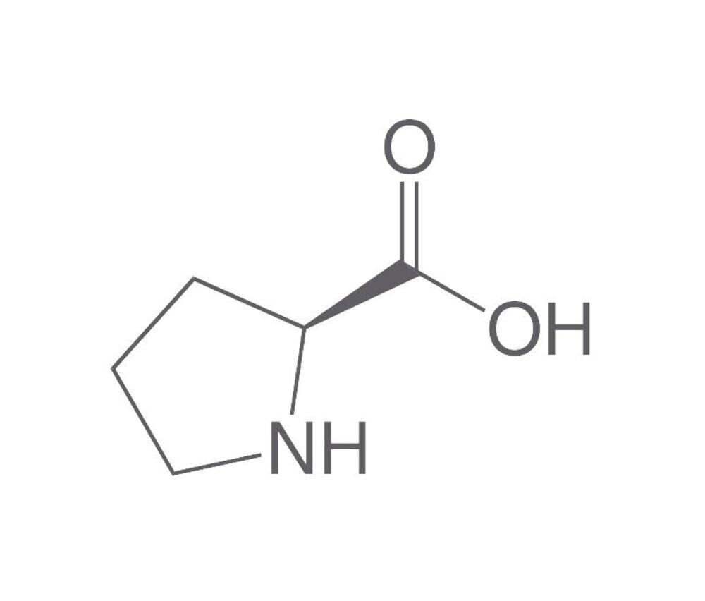 L-Prolina, min 98,5%, Ph.Eur., per biochimica, 500 g, confezione in plastica.