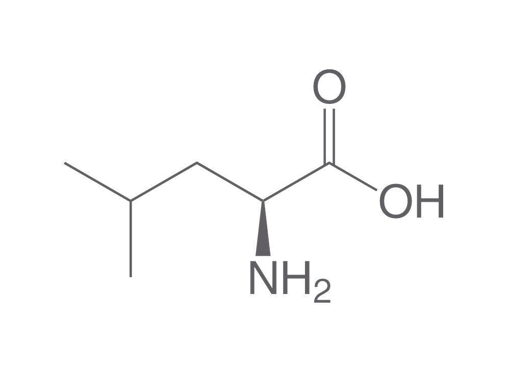 L-Leucine, min. 98.5%, Ph.Eur., for biochemistry, 500 g, plastic packaging.