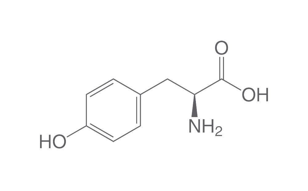 L-Tyrosine, min. 99%, Ph.Eur., for biochemistry, 25 g, plastic packaging.