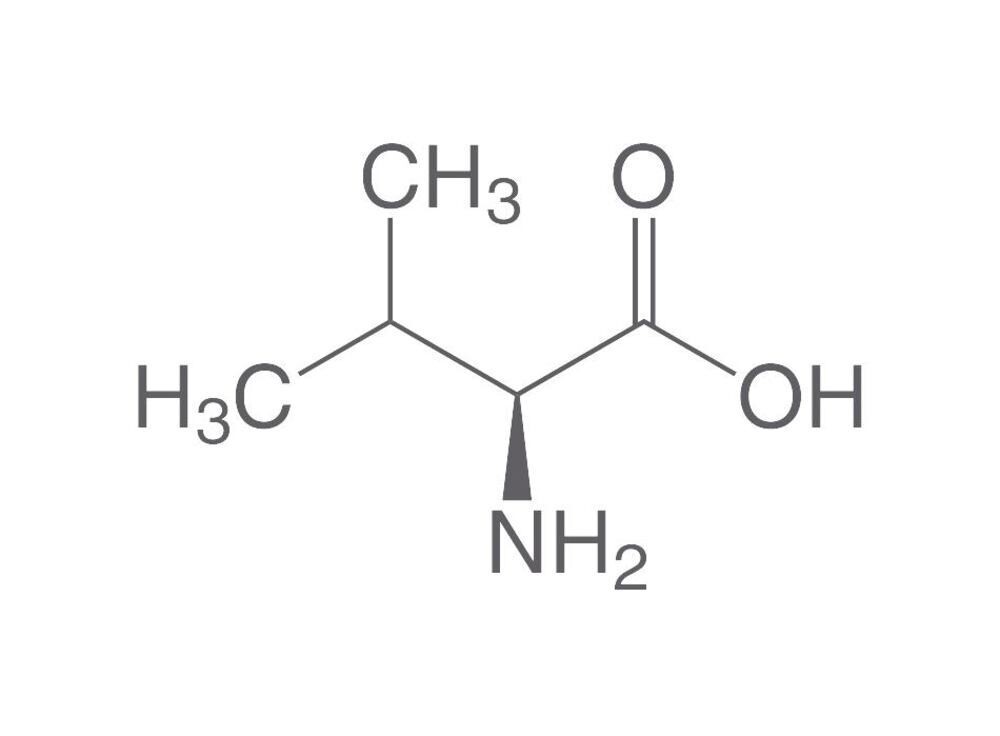 L-Valine, min 98.5%, USP, for biochemistry, 500 g, plastic packaging.
