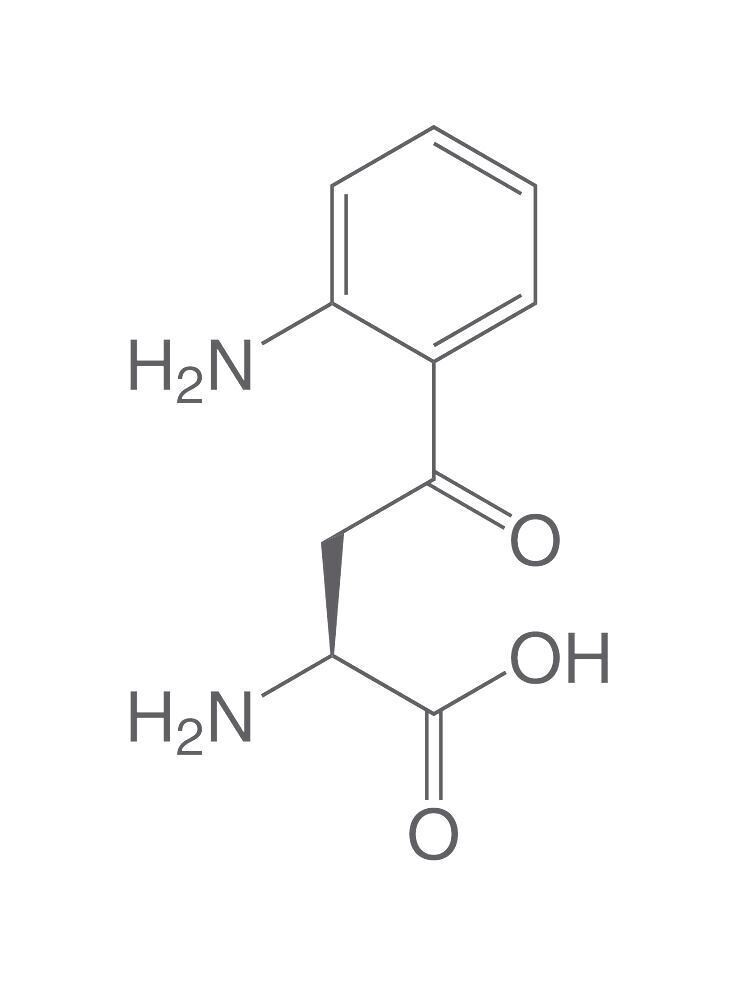 L-kynurenine, min 98%, for biochemistry, 250 mg, glass packaging