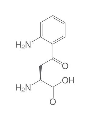 L-chinurenina, min 98%, per biochimica, 250 mg, confezione in vetro