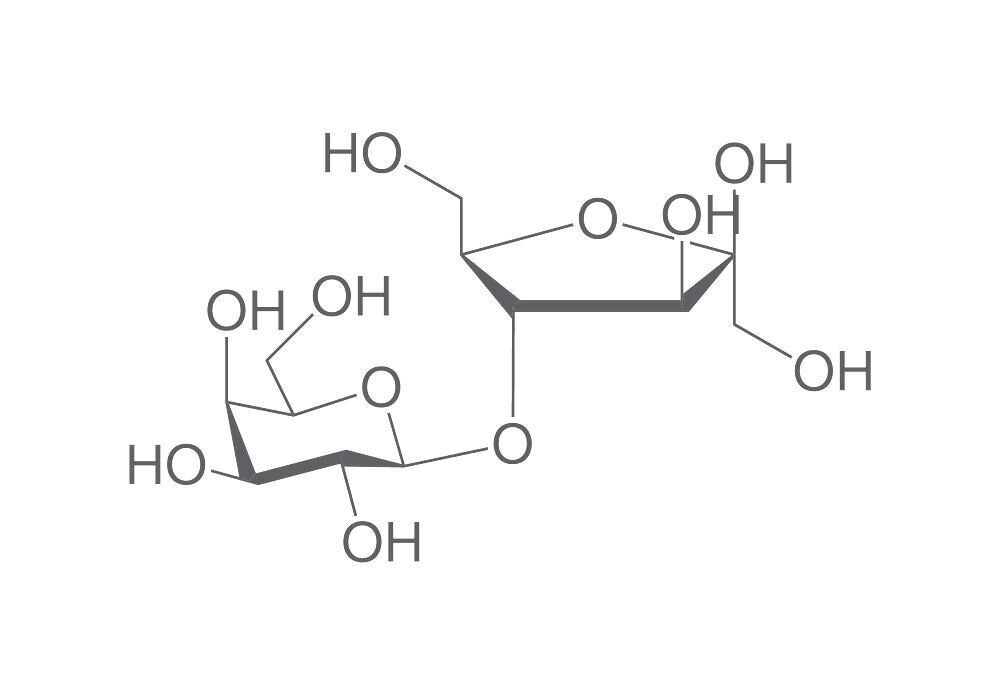 Lactulose, min. 98%, for biochemistry, 25 g, plastic packaging.
