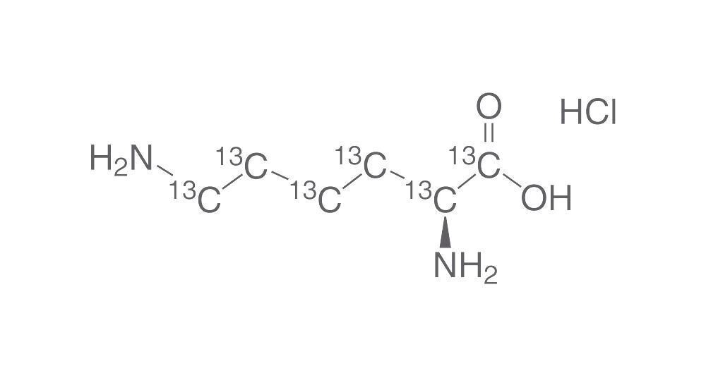 L-Lysine 13C6 Hydrochloride, min. 98% 13C, 100 mg, glass packaging