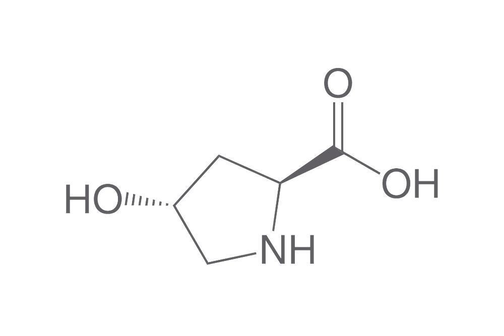 L-4-Hydroxyproline min 99% for Biochemistry 5g Glass Pack