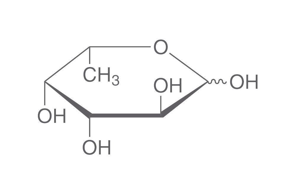 L(-)-Fucose, min. 99%, for biochemistry, 1 g, glass packaging