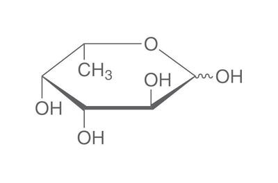 L(-)-Fucose, min.99%, pour la biochimie, 1 g, emballage en verre