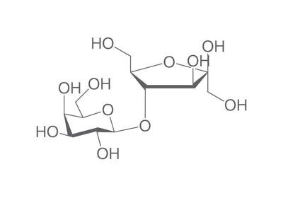 Lactulose, min. 98%, for biochemistry, 10 g, plastic packaging.