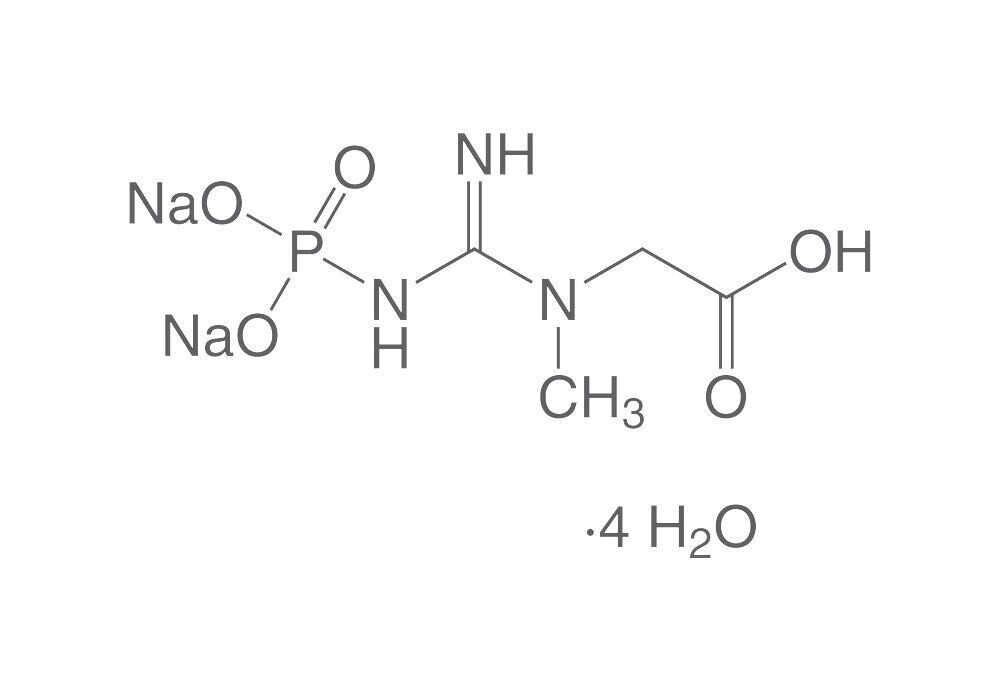 Creatine phosphate disodium salt tetrahydr., min. 98%, for biochemistry, 1 g
