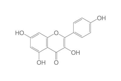 Kaempferol, standard di lavoro ROTICHROM®, 25 mg, confezione in vetro