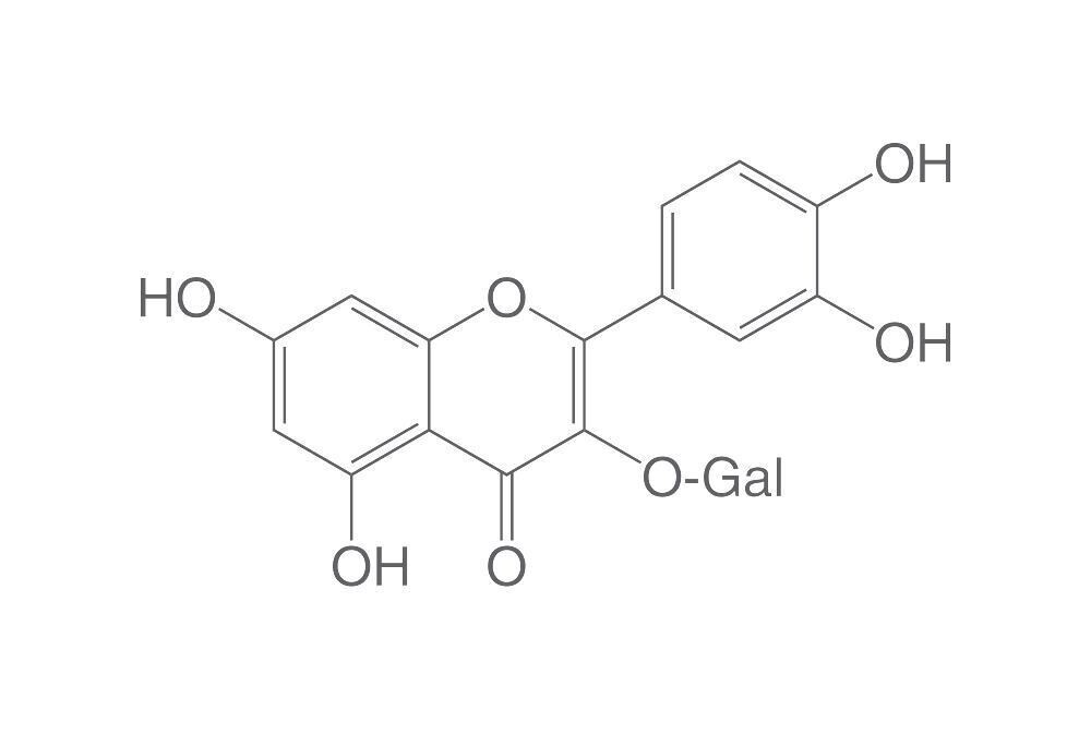 Hyperoside, ROTICHROM® HPLC, 10 mg, glass packaging