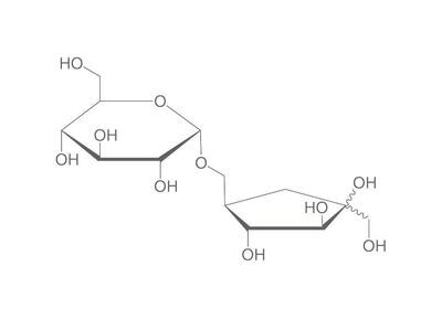 Isomaltulosa, mínimo 99%, para bioquímica, 100 g, envase de plástico.