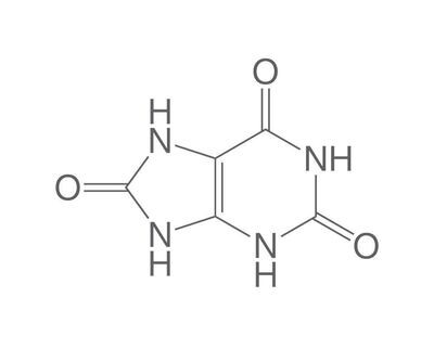 Acido urico, minimo 99%, per biochimica, 250 g, confezione in vetro