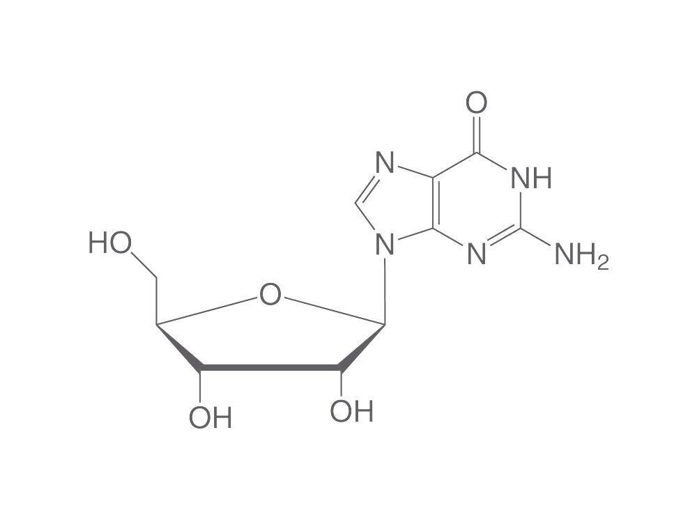 Guanosine, min. 98%, for biochemistry, 25 g, plastic packaging.