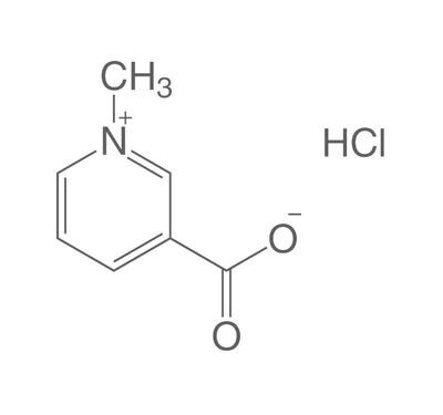 Trigonelline Hydrochloride Min 97.5% Bioquímica Paquete de vidrio de 1 g