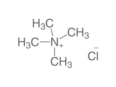 Tetramethylammonium chloride, min. 98%, for synthesis, 500 g, plastic packaging.